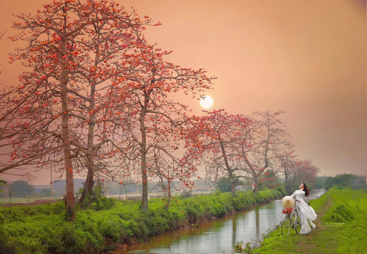 Ha Noi